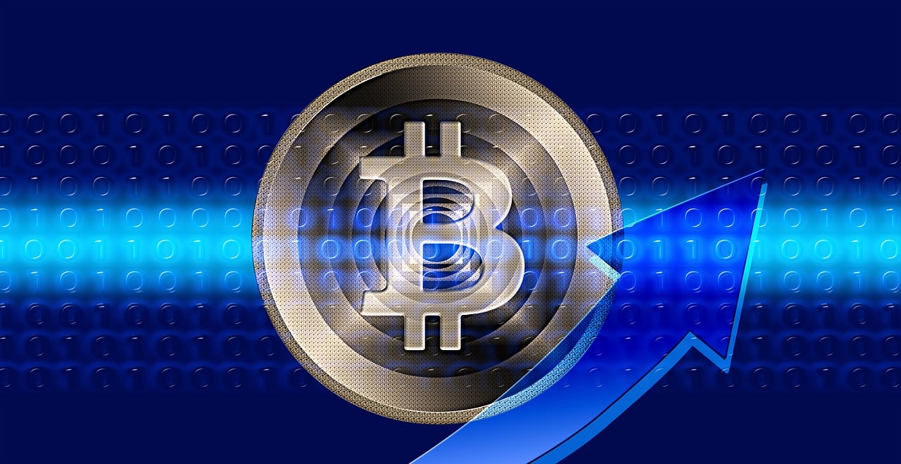 上海黄金交易所今日价格，黄金市场动态与趋势深度解析