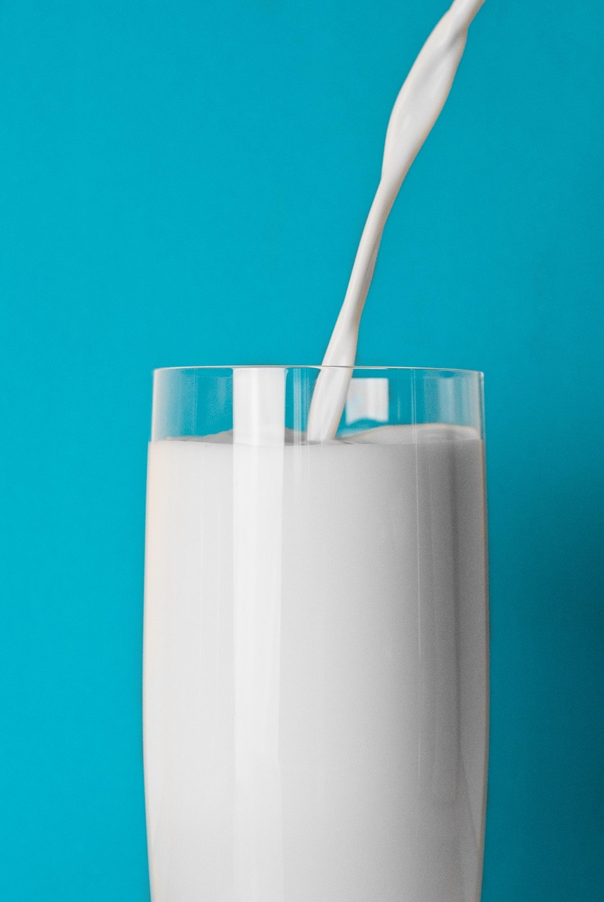 蒙牛乳业股票行情深度解析与走势预测