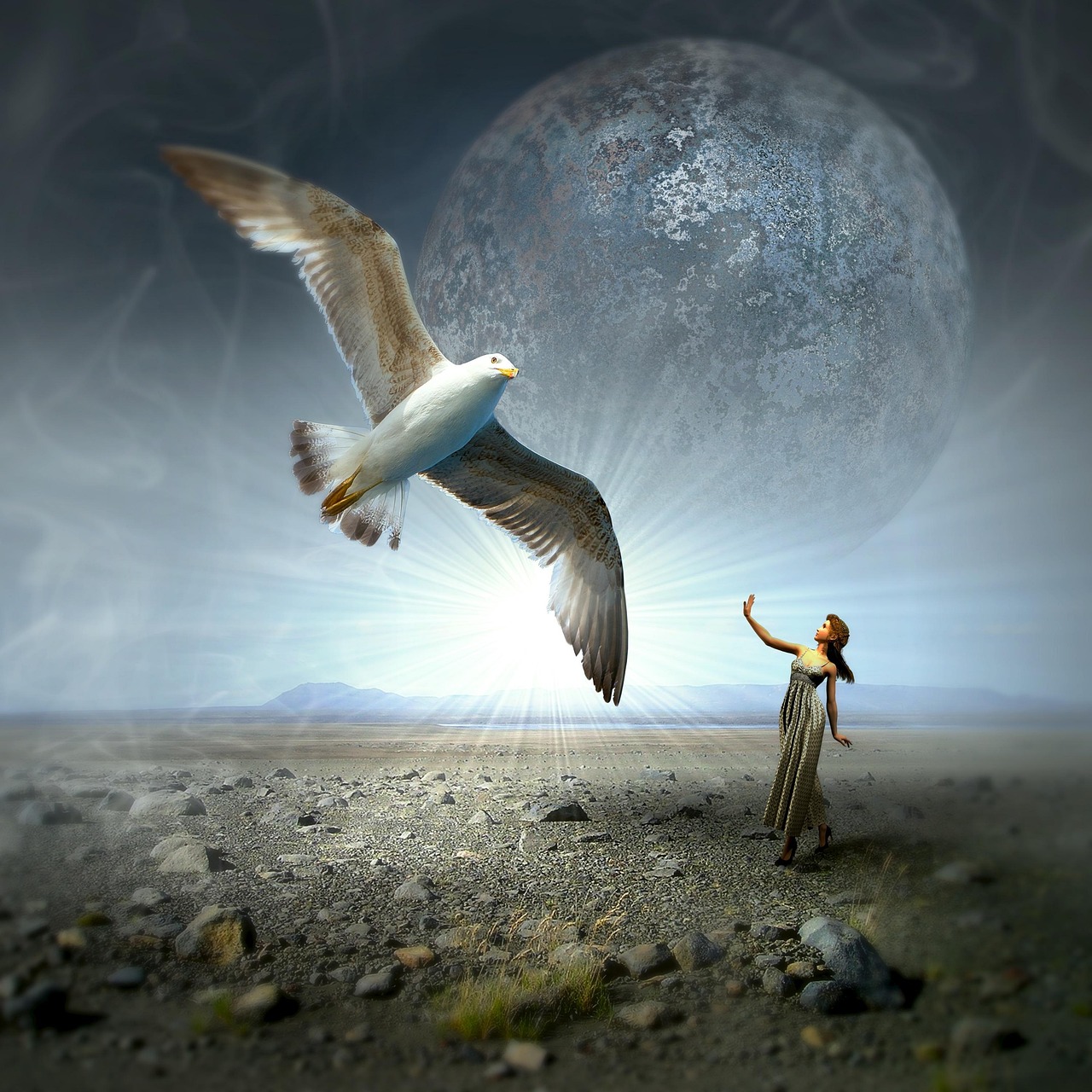 星座与动漫世界的奇妙交融，十二星座动漫探索