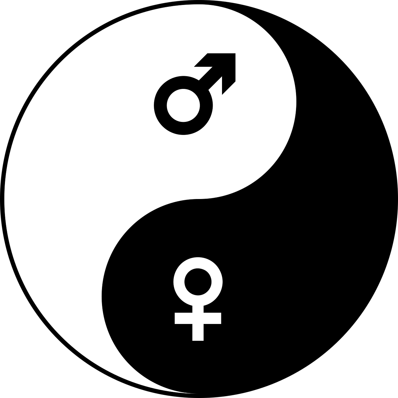 探索性别角色新维度，最新男女转换动画视频