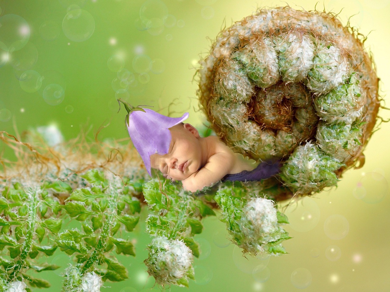 槐花树下，电视剧中的故事与情感全解析