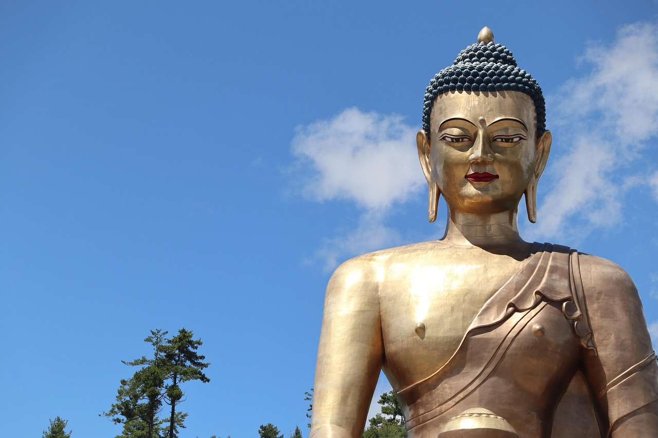 三级经典电影，探寻电影艺术魅力的独特之旅