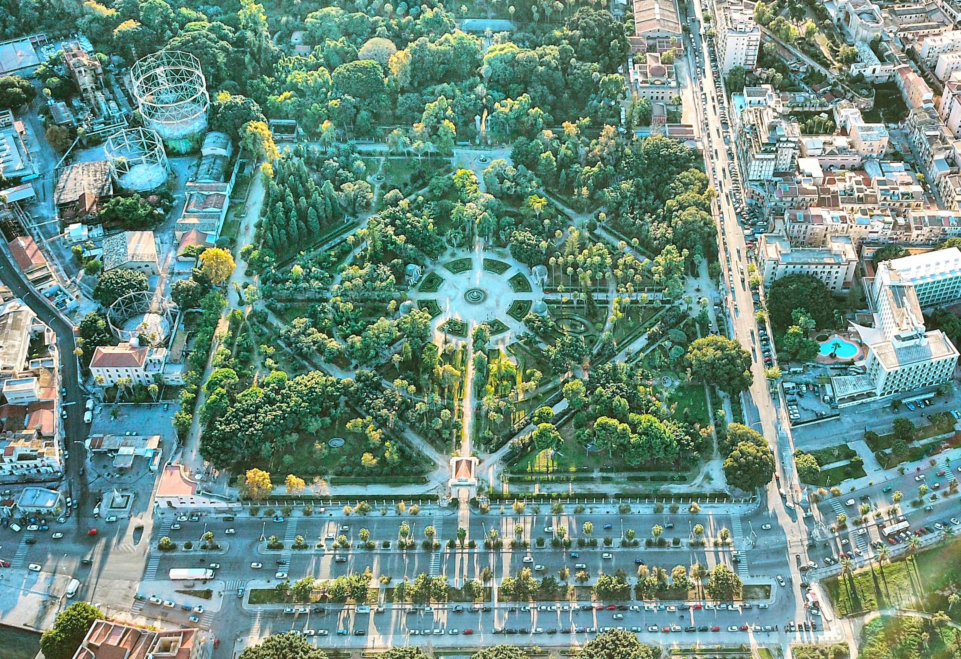 阳新防汛最新动态，众志成城，守护家园