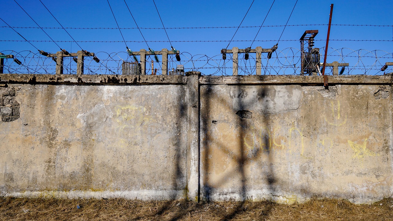 同方股份最新动态引领科技创新,加速数字经济发展