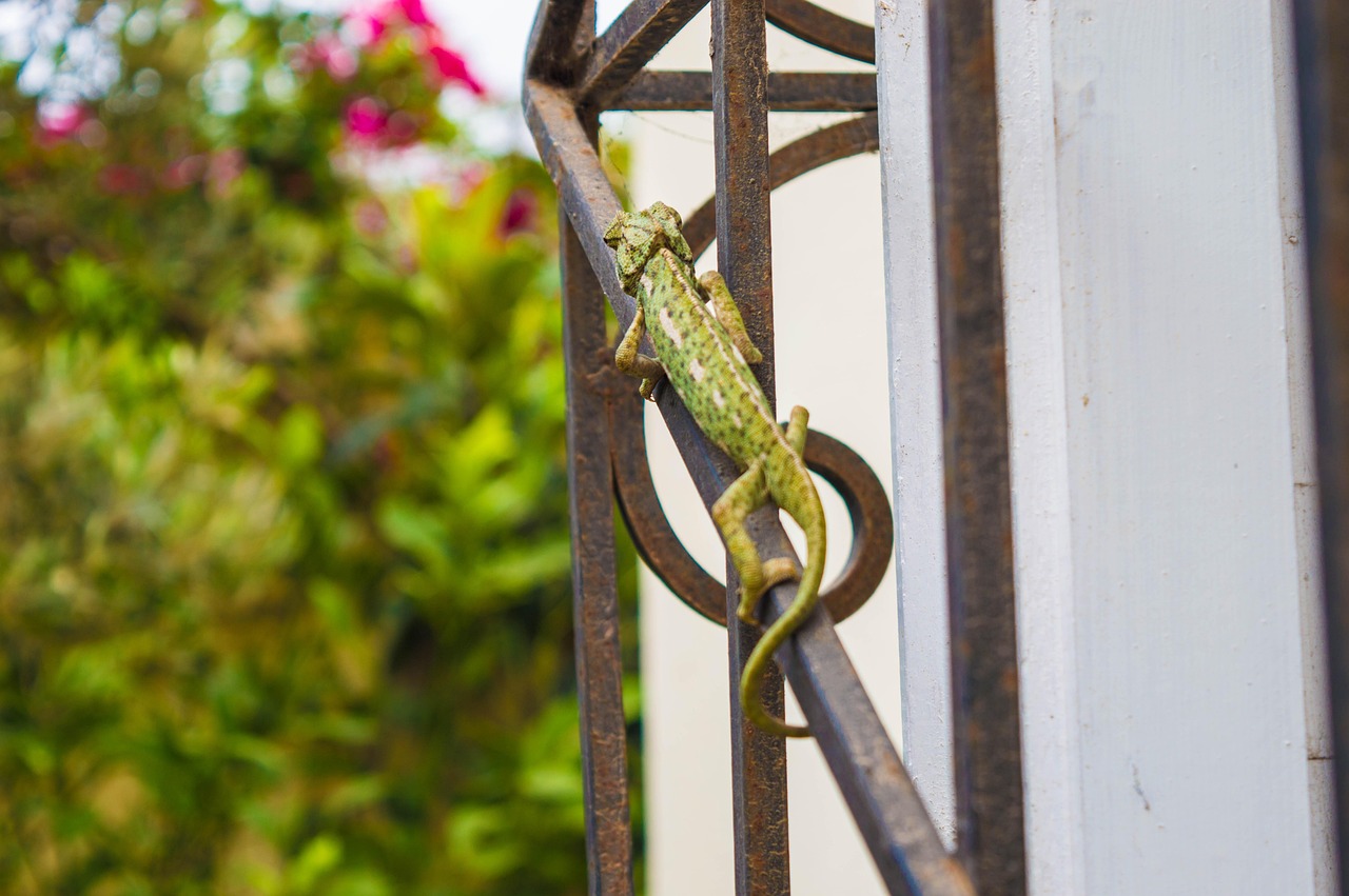 铃木心春最新动态,引领潮流,探索未来之路