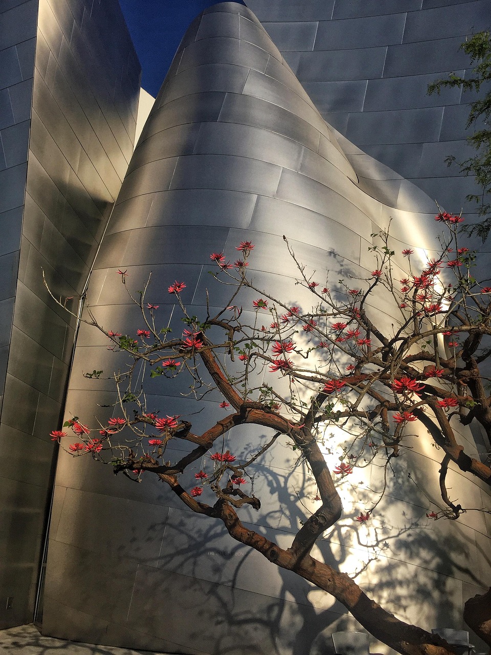 海门最新规划动态，引领未来的城市蓝图展望