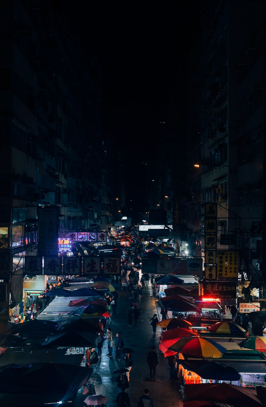 江苏连云港明星，文化之路的璀璨光芒