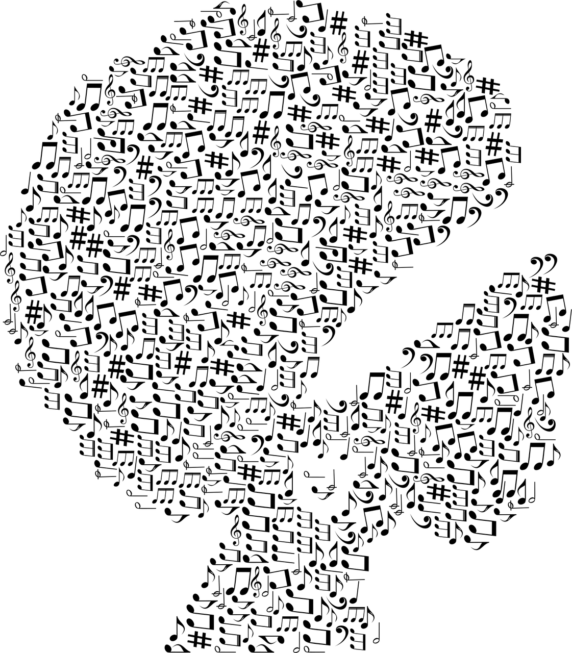 活结最新音乐视频，音乐与视觉艺术的完美融合