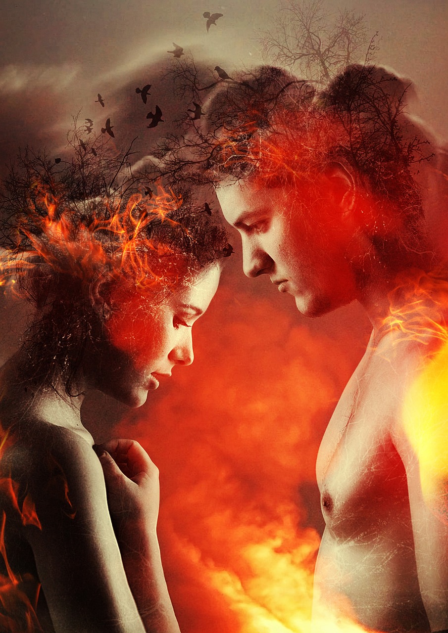 兽夫情缘新篇章,探寻未知世界的浪漫奇缘之旅