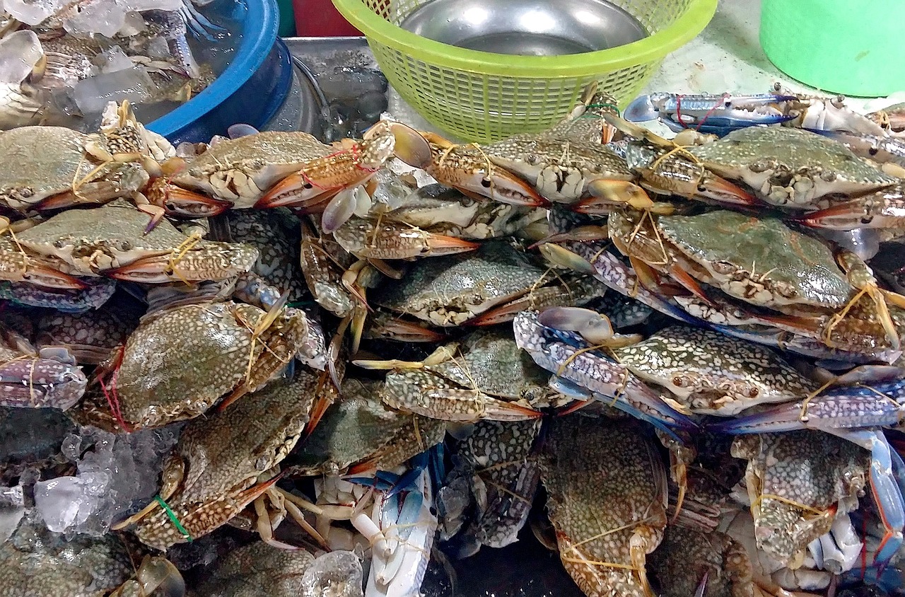 厦门海鲜加工行业招聘启事，寻找人才，共筑海鲜美食未来