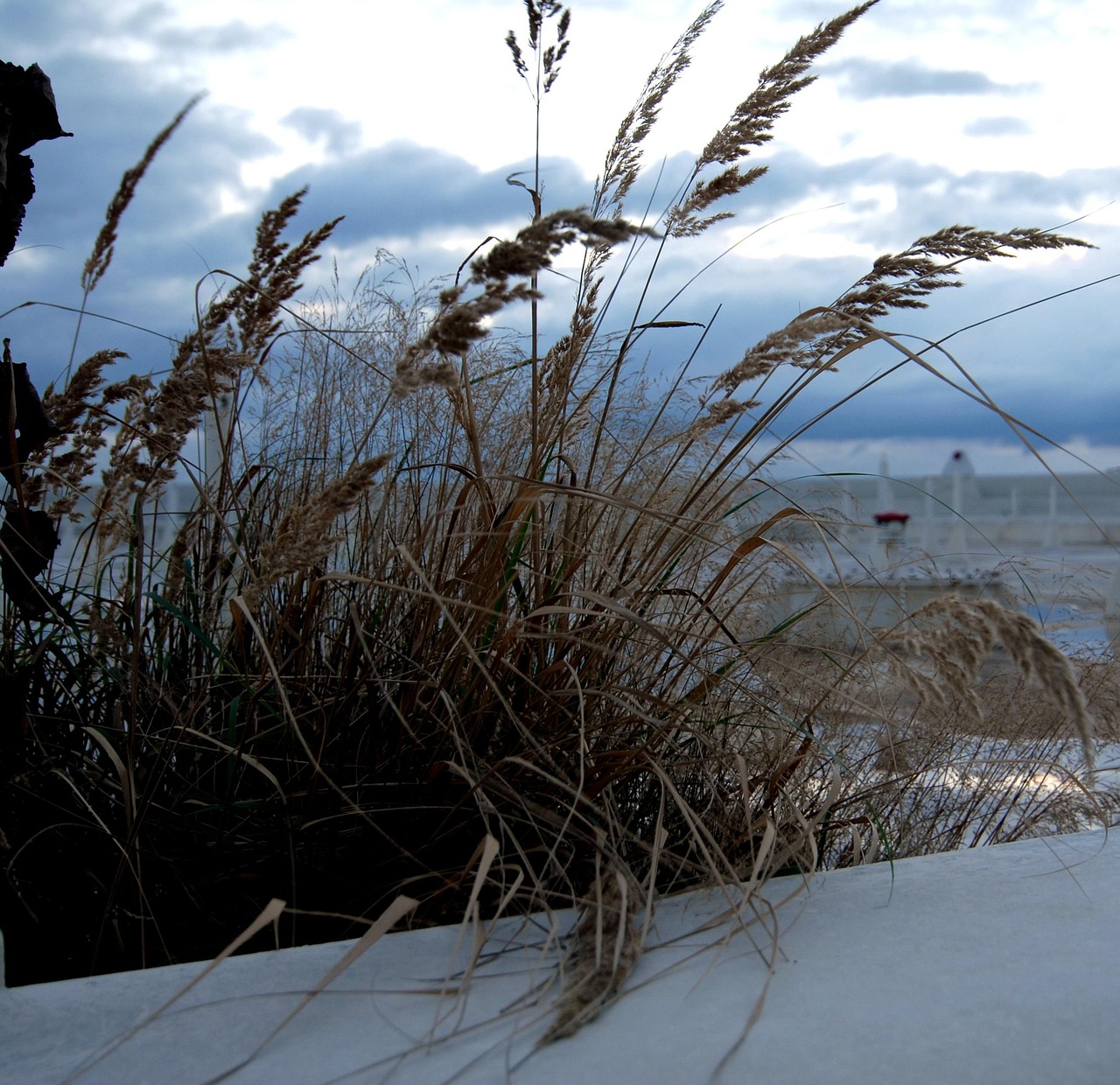 韩国军事动态速递最新消息