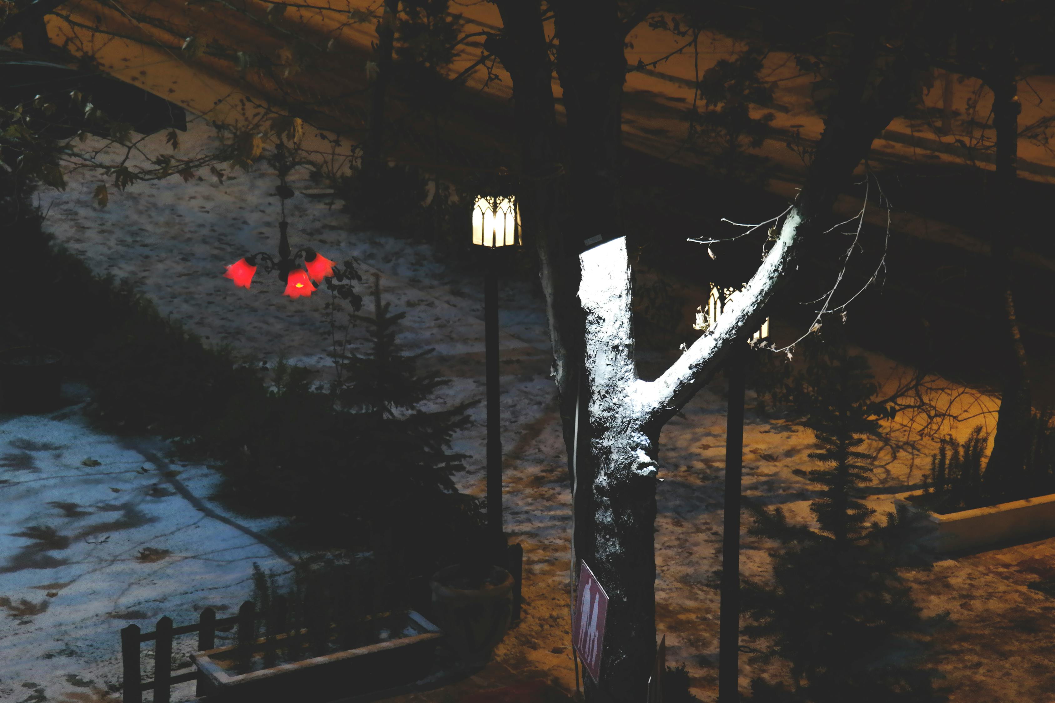 夏未眠夜爵曦最新章节，夜的交响曲与未眠之梦