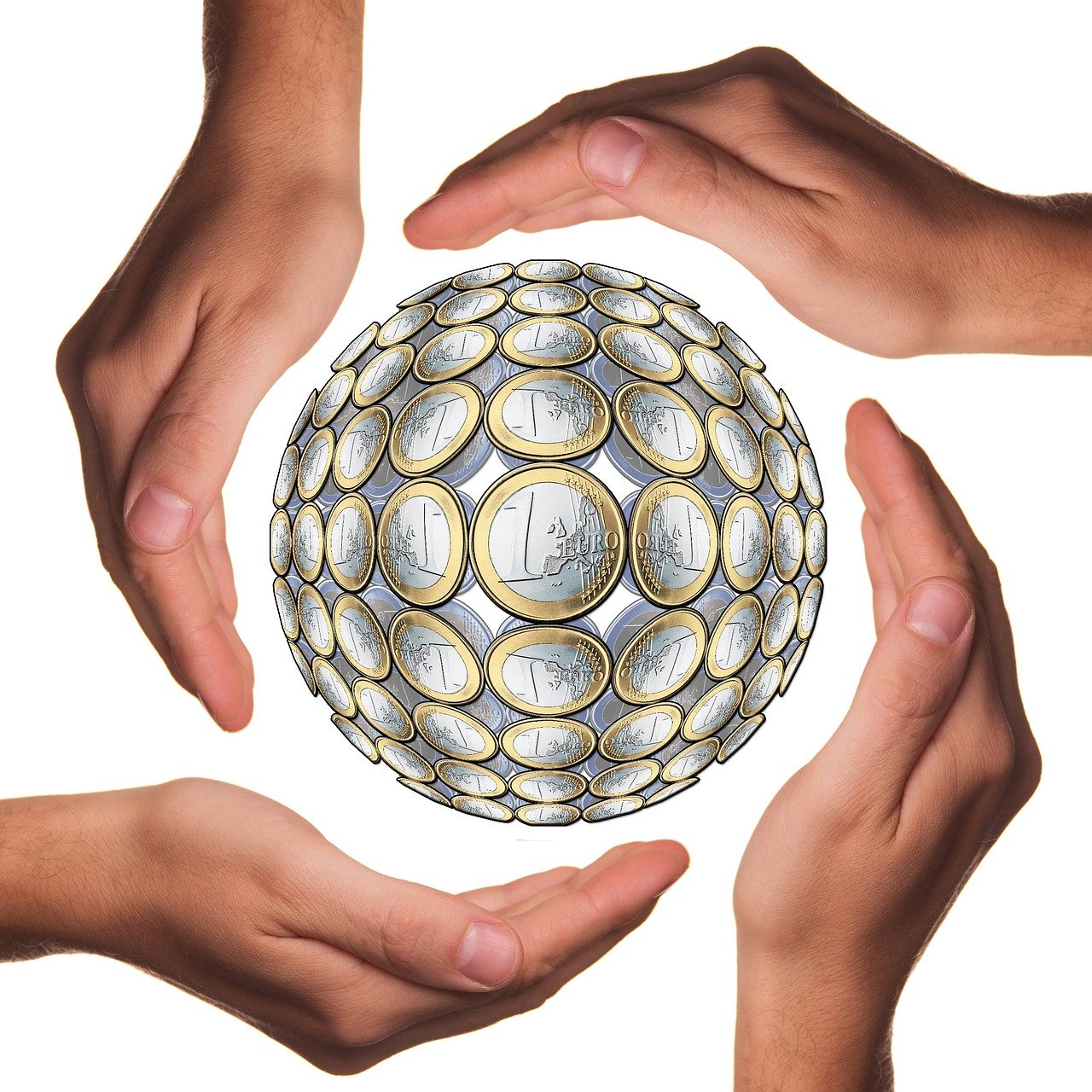 今日冬瓜行情深度解析与预测