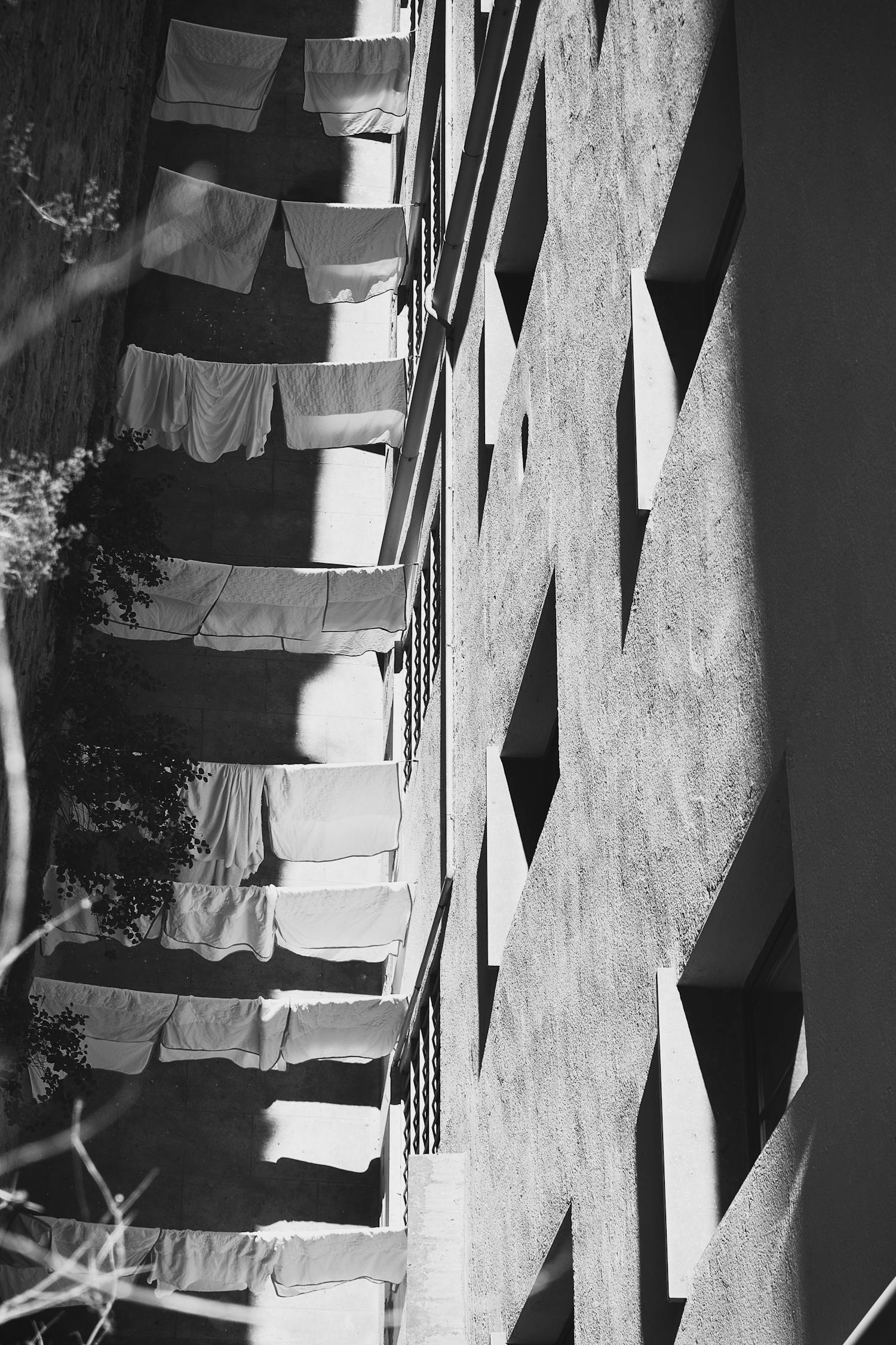 探寻古筝艺术独特韵味与时代风采的新篇章