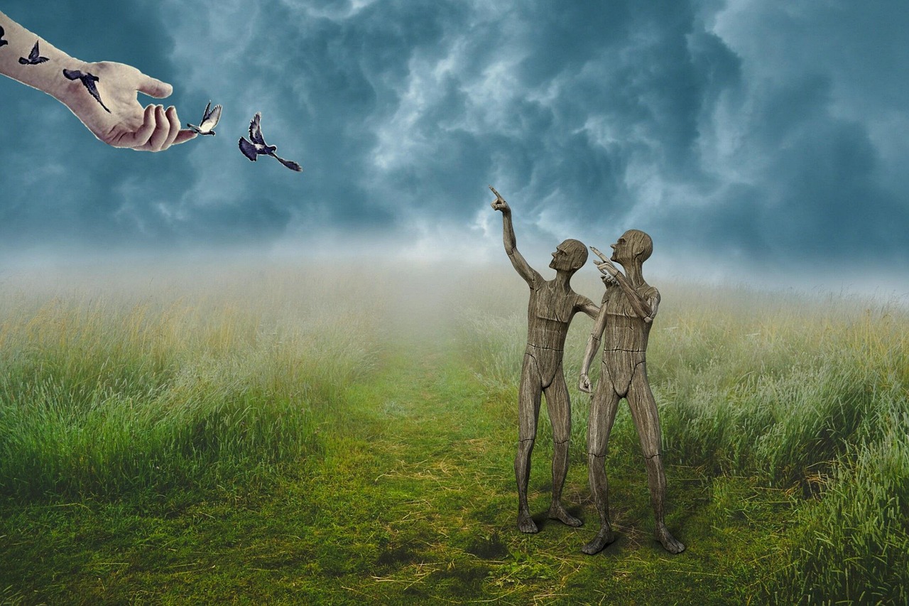 情感与自由的探索之旅,爱的解脱电影