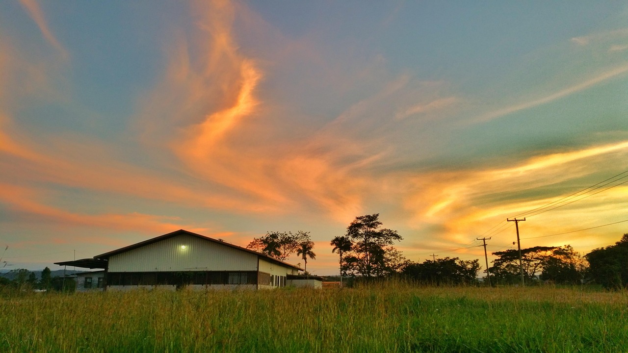 草二村新面貌揭秘,最新动态展现乡村发展新序幕