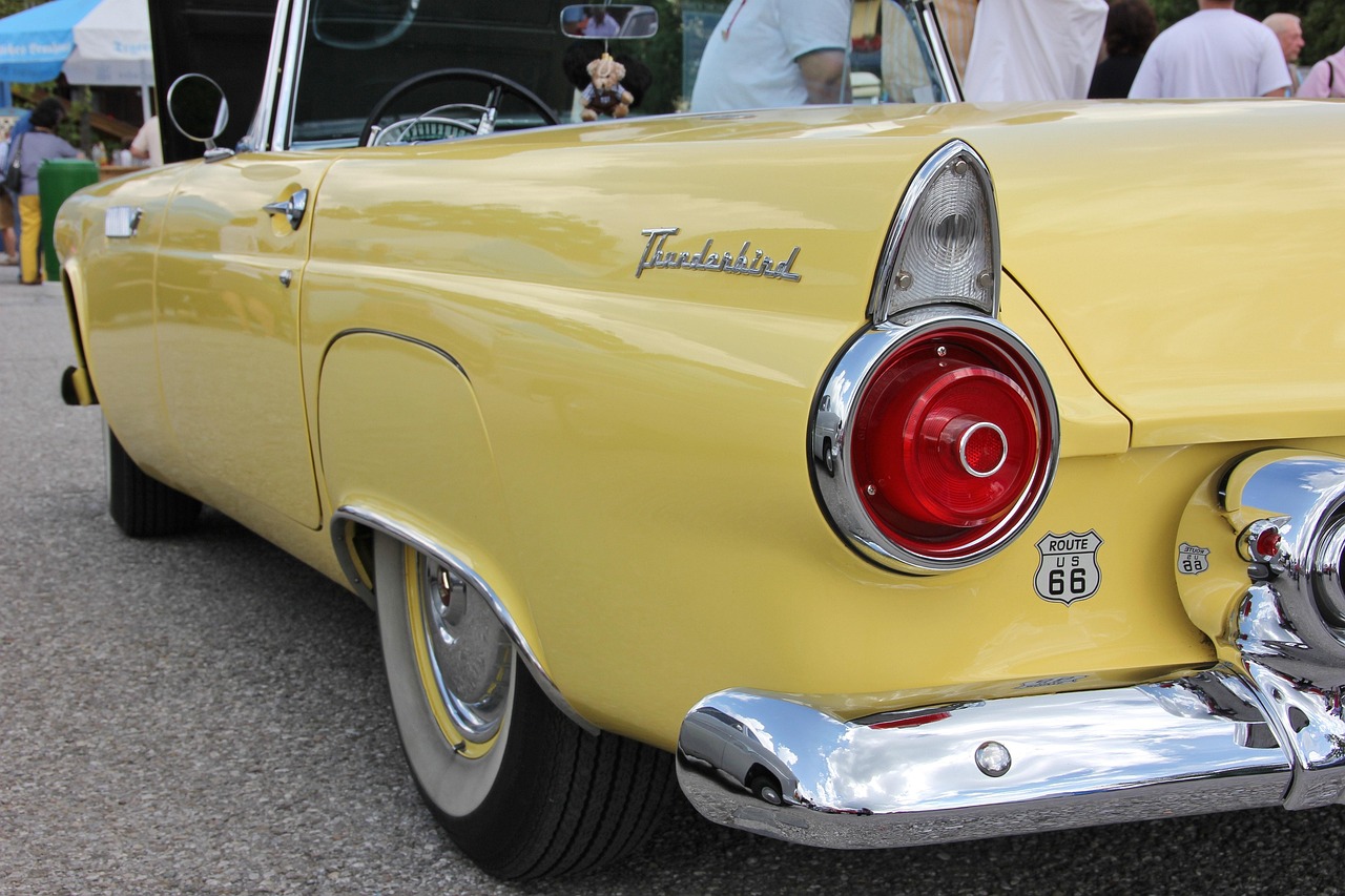 嘉闵线最新动态,推动区域交通发展与创新持续进行