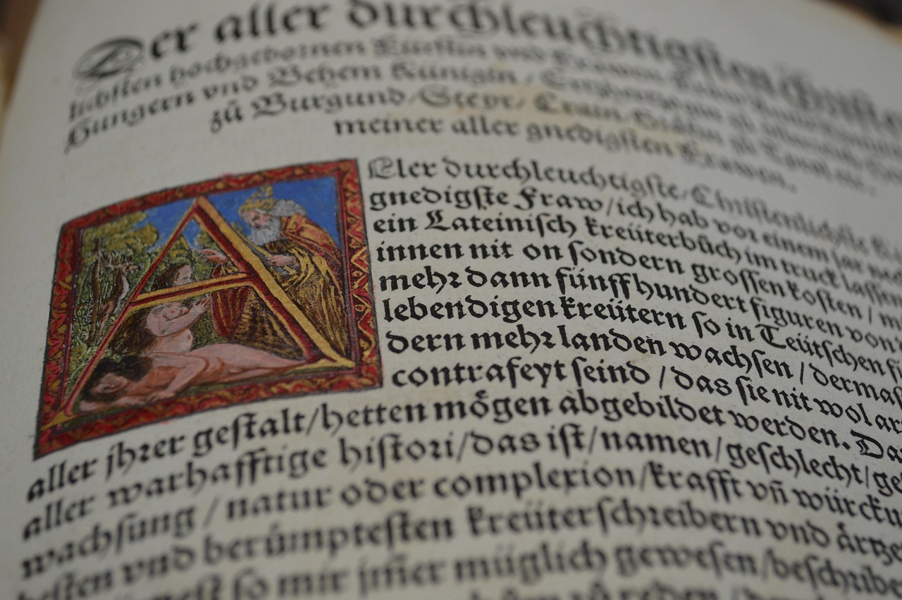 免费一级片电影,探索、反思与争议