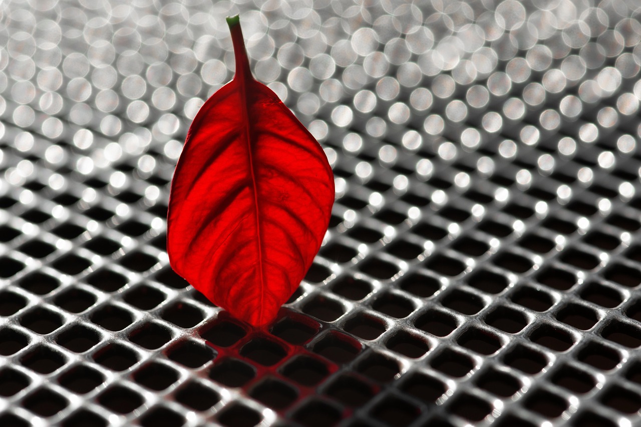 黄暴台最新动态,探索前沿,潮流引领