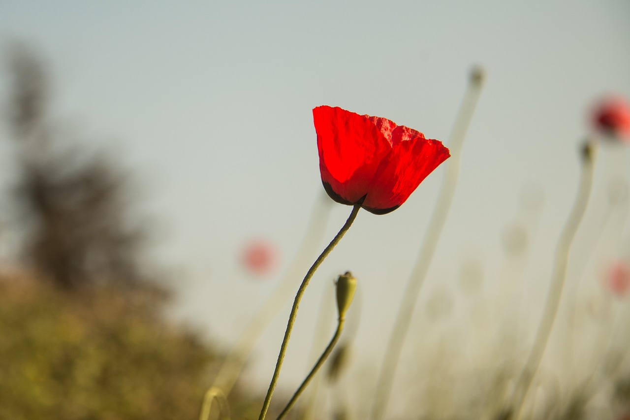 浙江最新台风动态及应对措施,影响与防御指南