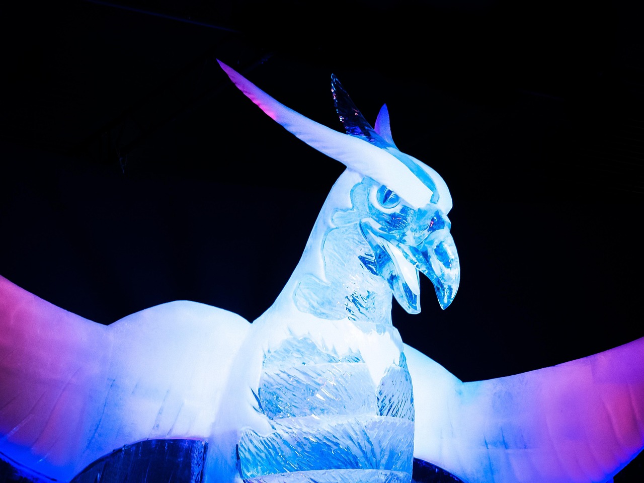 舞动财富,全新抓钱舞展现力量与艺术之美