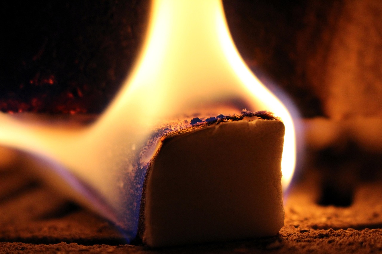 益阳杨光鑫最新动态,揭开成功神秘面纱的真相