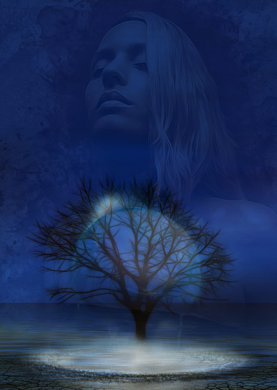 益阳杨光鑫最新动态,揭开成功神秘面纱的真相