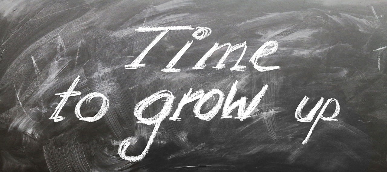 最新校园日剧,青春活力的绽放与成长之路的探寻之旅