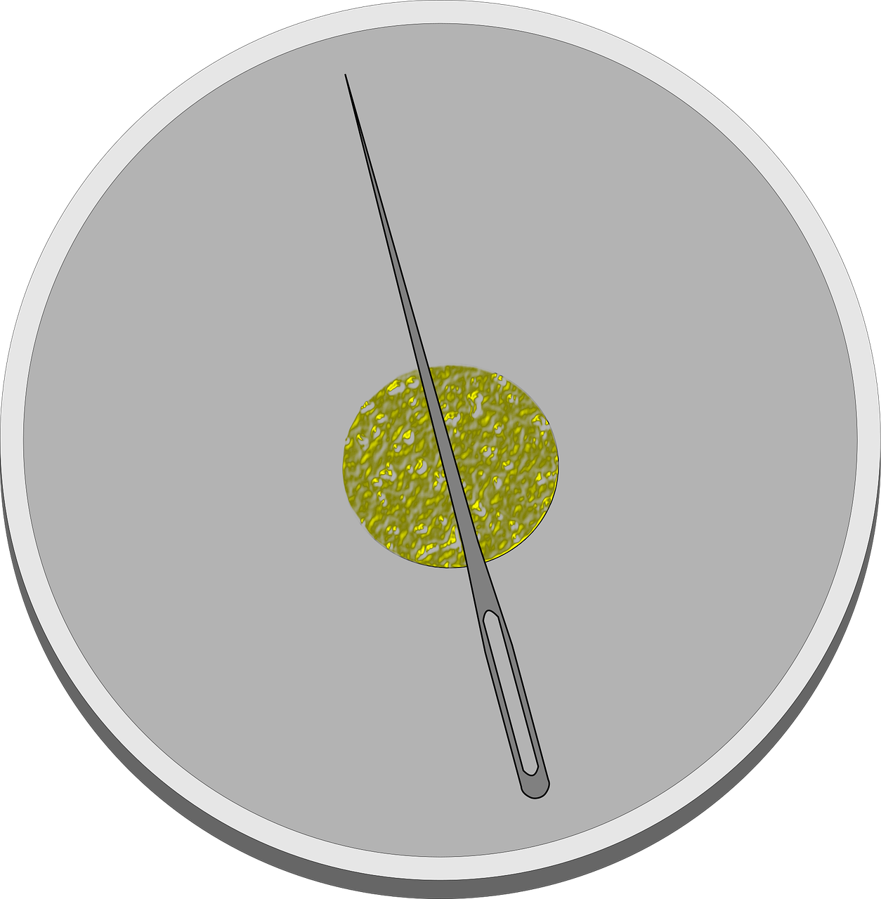 指南针最新版下载指南详解