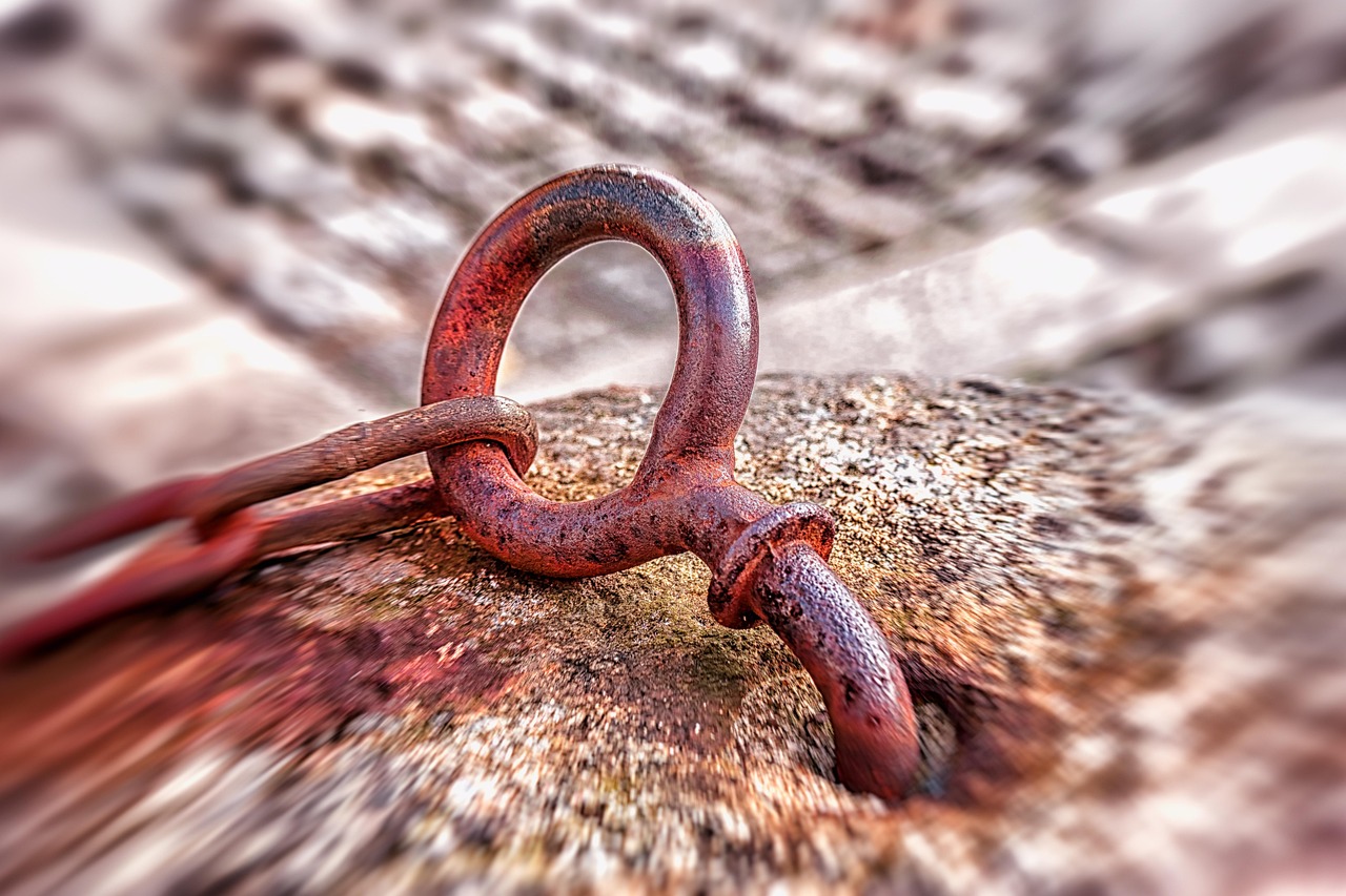 南皮新闻快讯,聚焦时事热点,实时传递最新动态