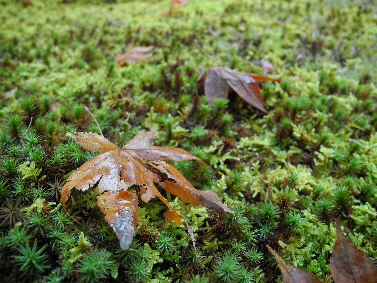 南皮新闻快讯,聚焦时事热点,实时传递最新动态
