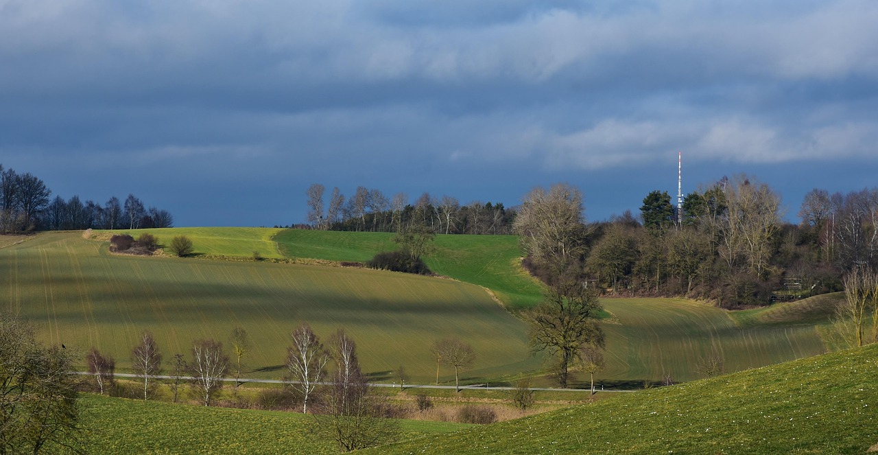 全球石油价格动态,最新趋势、影响因素及未来展望分析