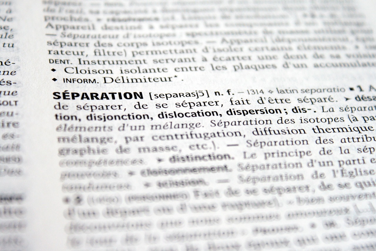 需求价格弹性的概念及其重要性解析