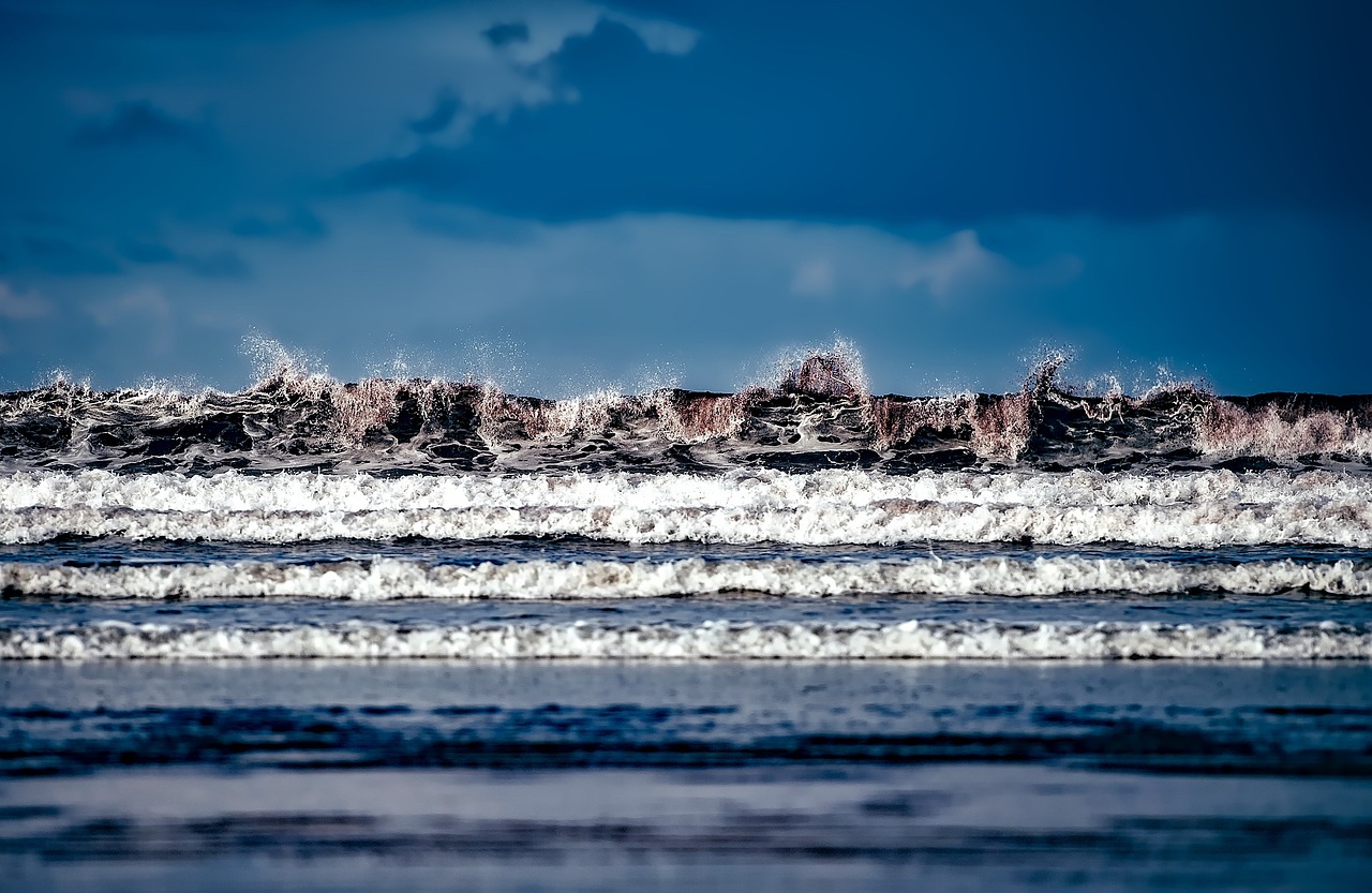 朱军最新跨界动态,多元展现发展之路