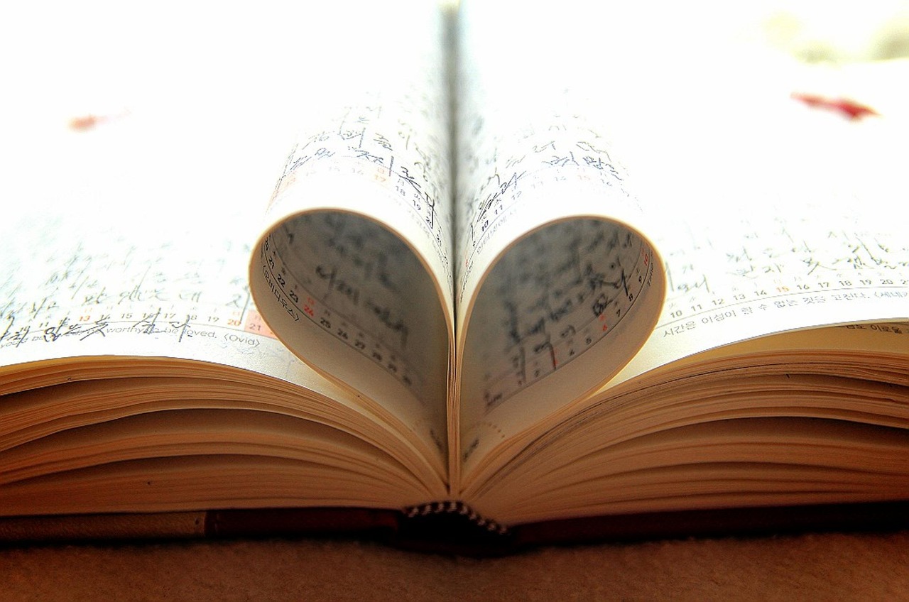 最新婚纱照集,捕捉爱情的永恒瞬间,记录美好回忆的珍藏篇章