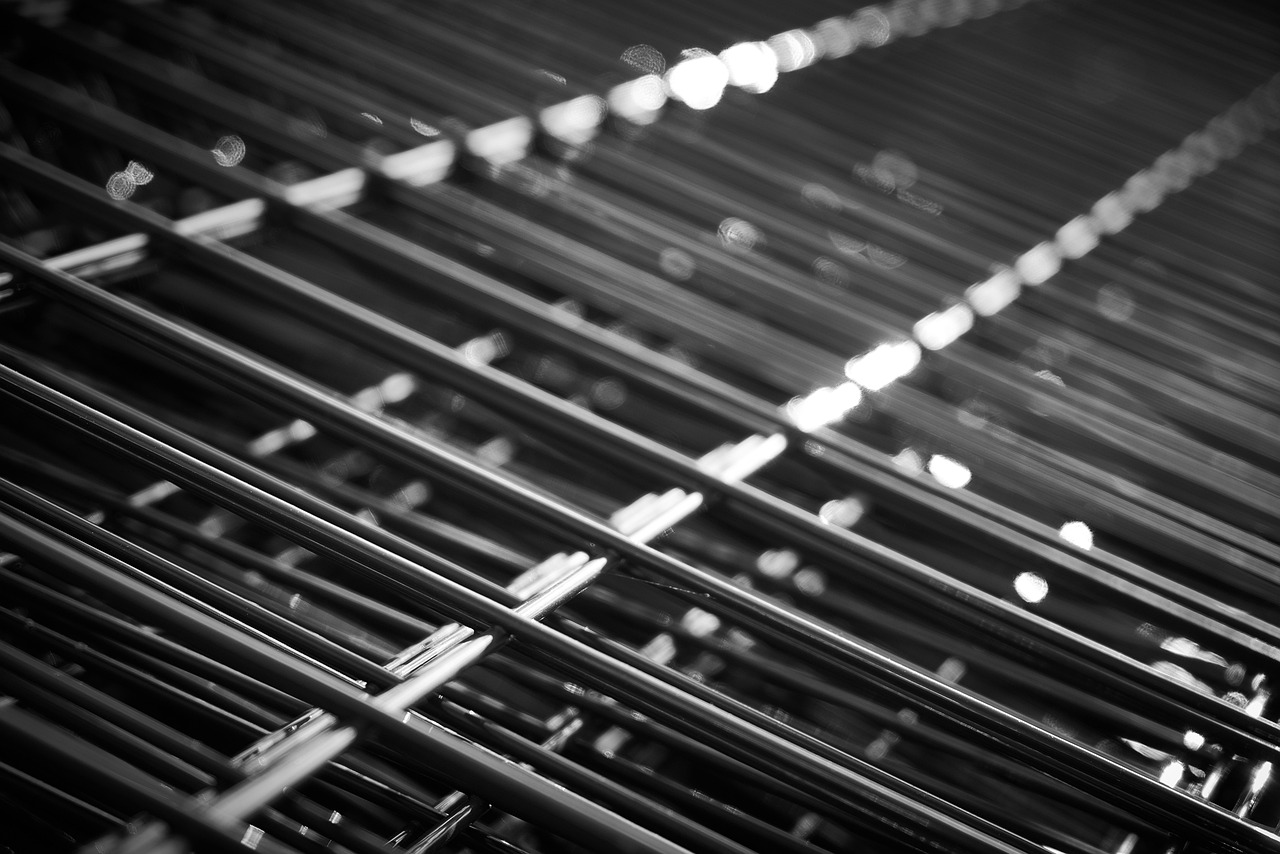 广东广州鸡蛋价格行情分析与趋势预测