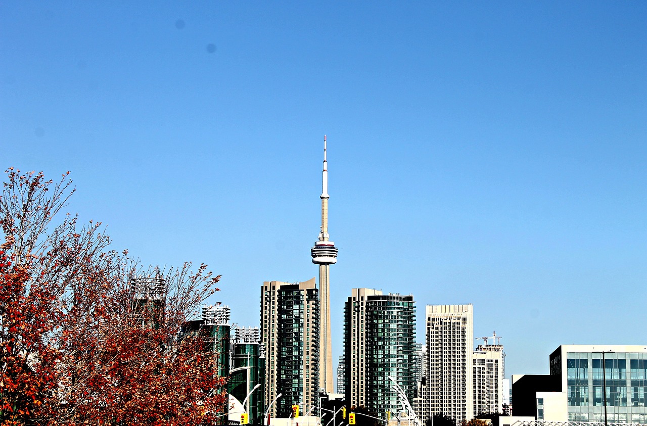 县人武部改革新方案,探索现代化军事建设的新路径