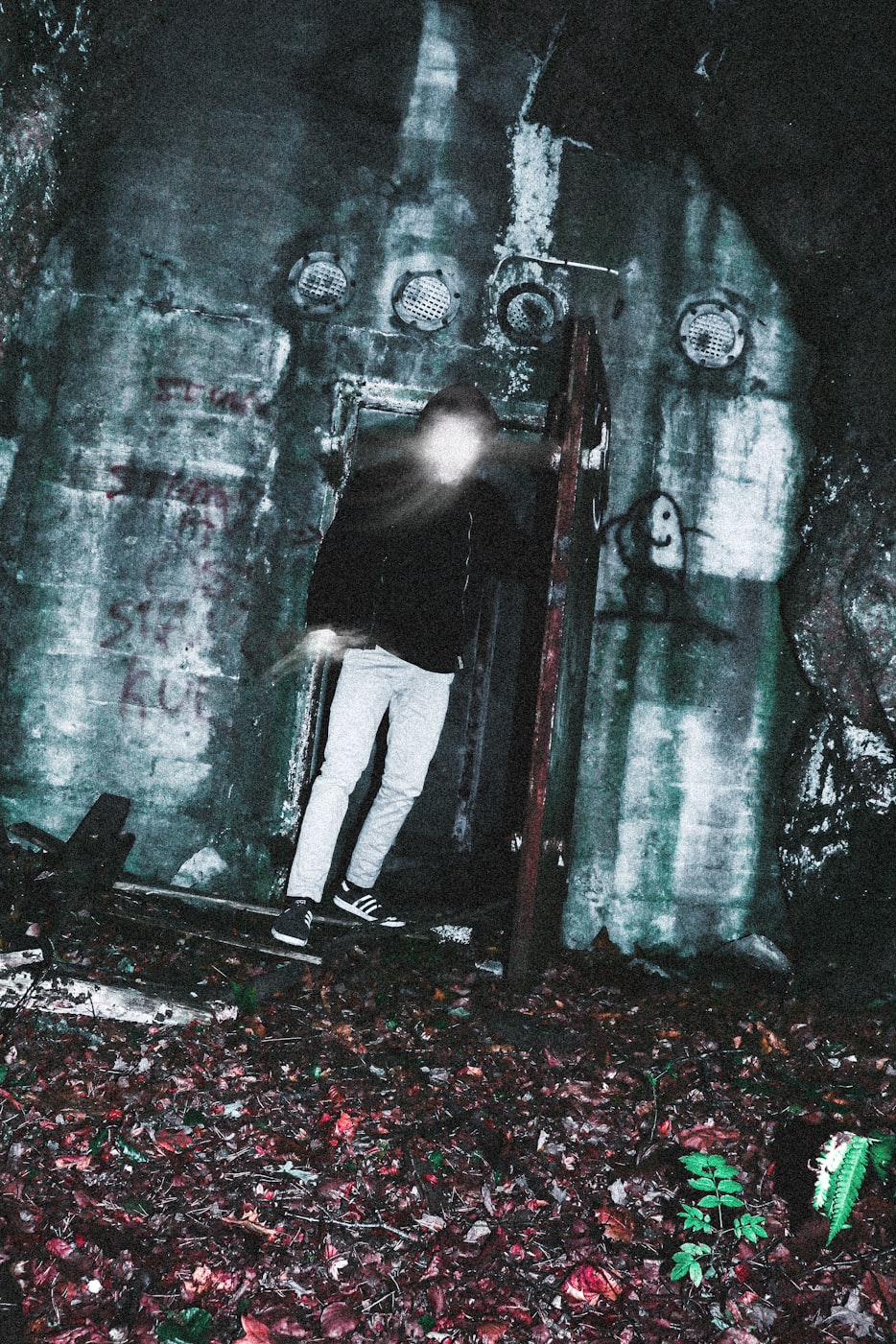 野爹最新篇章,探索未知征途的冒险之旅