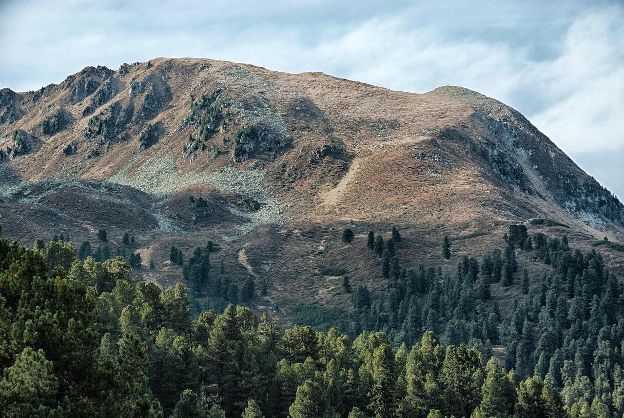 李庄新区蓬勃发展,城市新面貌的最新动态