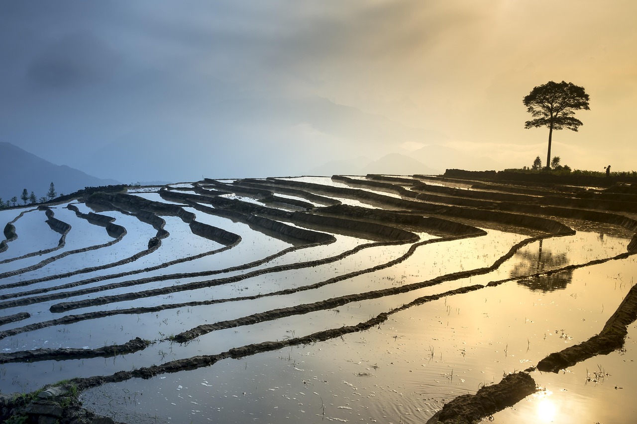 西山区草海最新规划揭晓,描绘未来生态繁荣蓝图