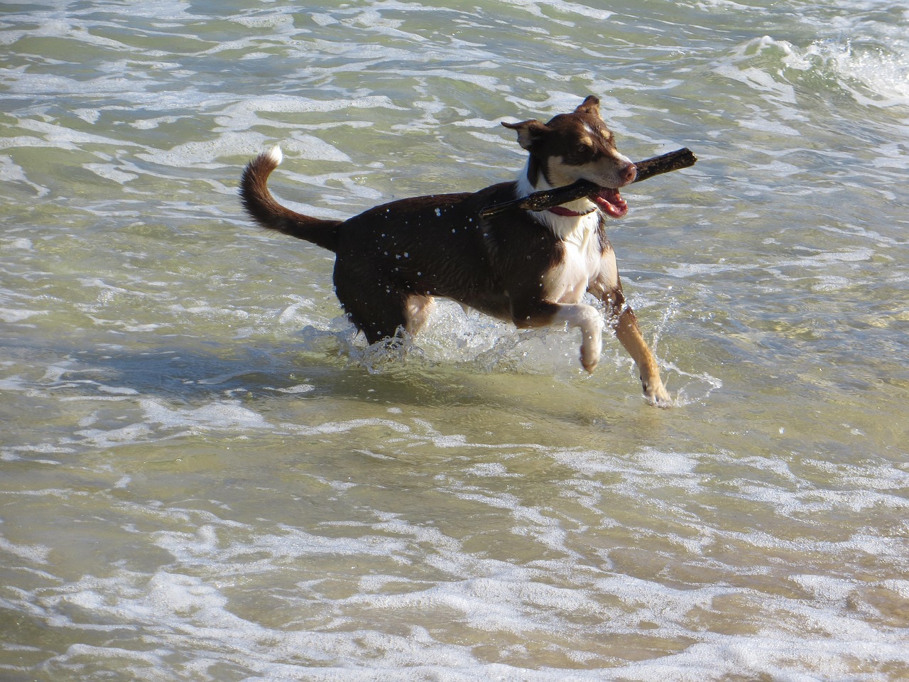 许嵩近期动态,音乐旅程开启新篇章