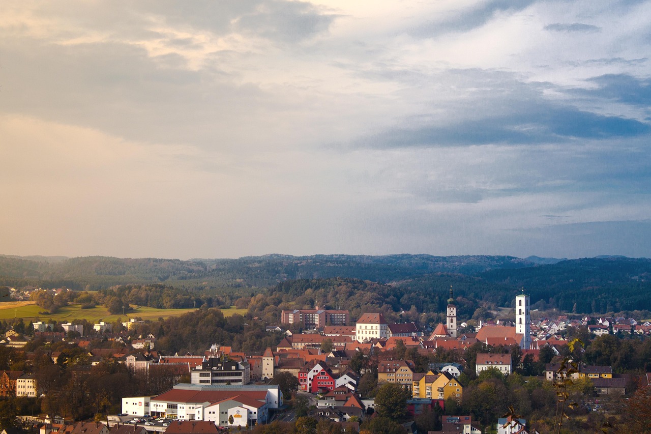 广东公车拍卖最新消息更新,最新动态与进展