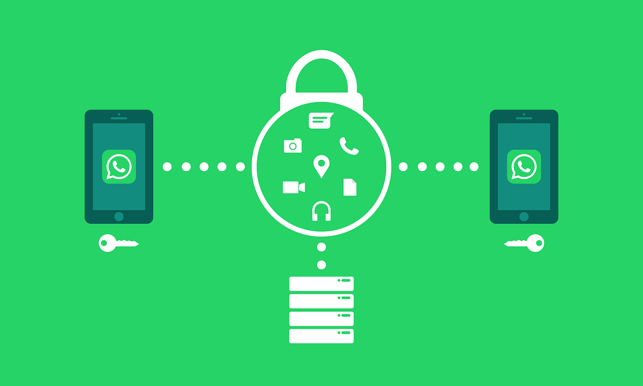 石家庄市人事调整信息深度解读与解析