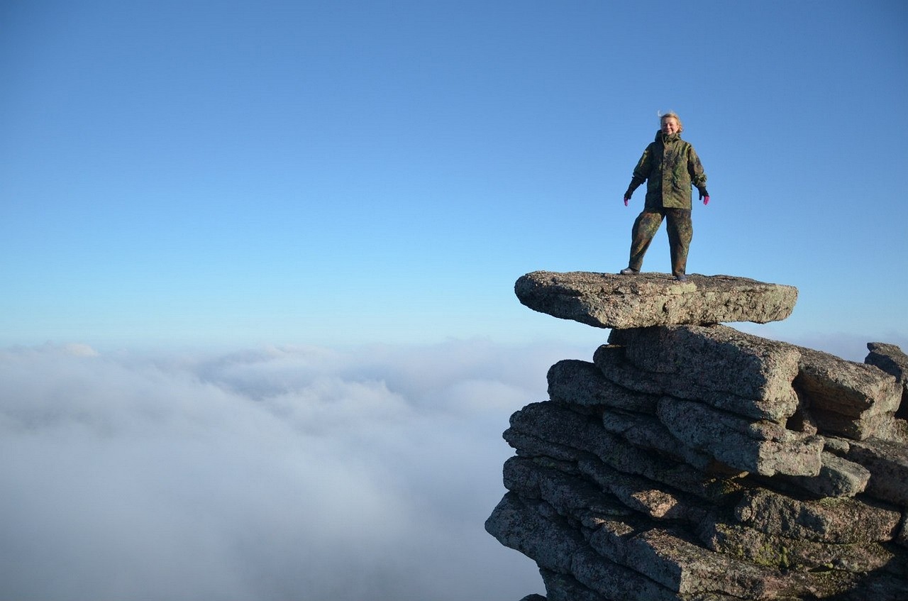 疫情动态最新分析报告发布