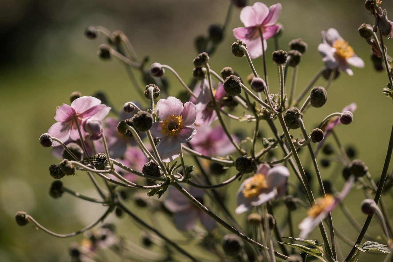 醉驾治理最新动态,法律更新与治理策略下的醉驾之殇