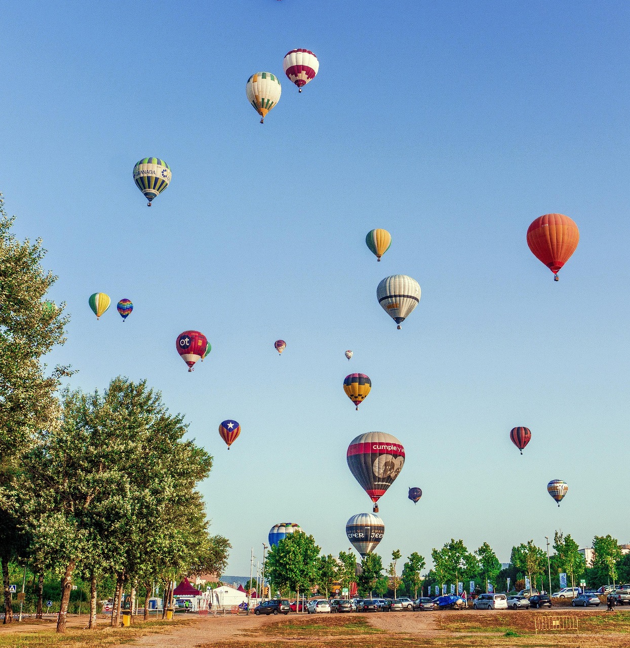 柏林国际电影节,电影艺术与文化交融的盛会