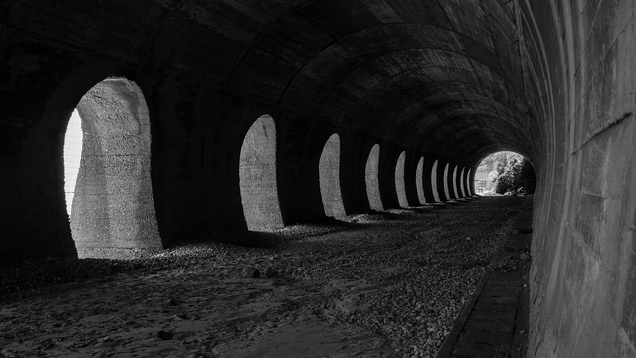 张鹤伦新动态揭秘,喜剧之路的无尽探索与无限可能