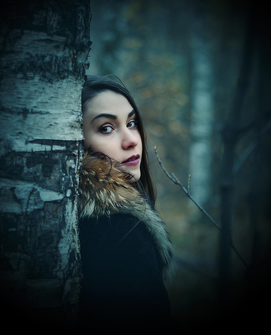 潘多拉魔盒电影,神秘与魅力的交织之旅