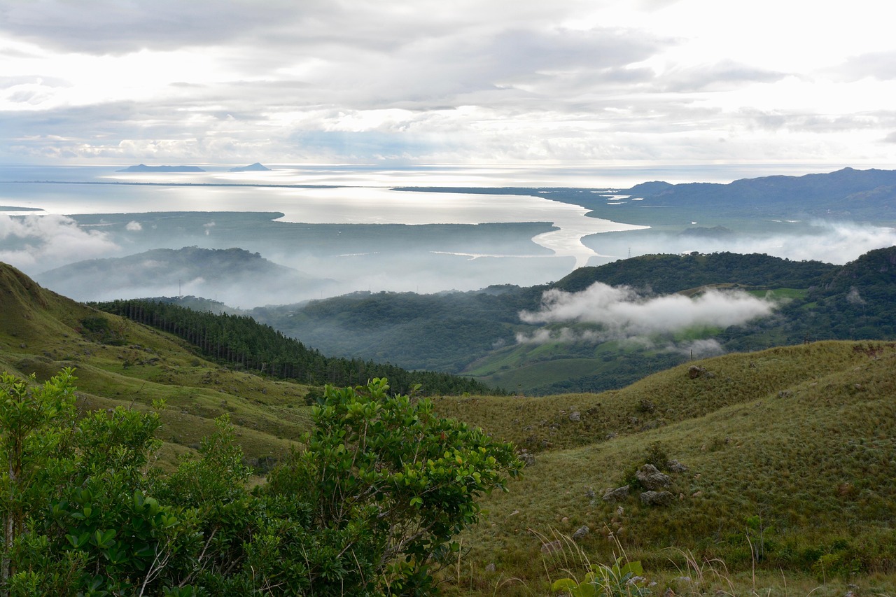 长春房产市场动态深度解析