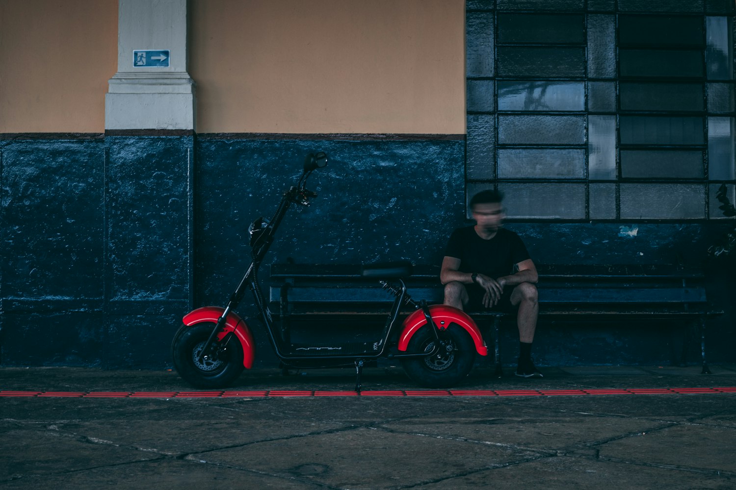 音花树新动态揭秘,音乐与自然的和谐共生探索之路